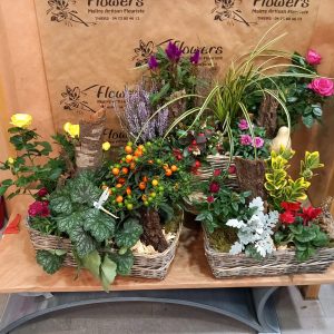 Panier de plantes extérieur