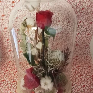 Rose éternelle sous cloche