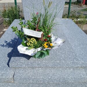 Coupe de plantes cimetière