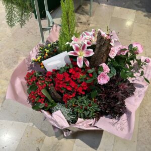 Coupe de plantes cimetière