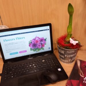 Amaryllis et son cache pot en zinc