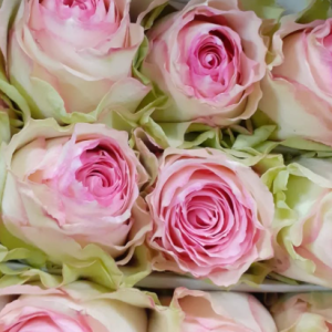 Bouquet de roses solidaire